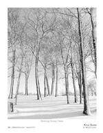 dancing snowy trees landscape photography