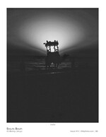 camel at sunset silhouette photography