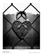 love locked still life photography