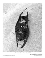 mermaid's purse still life photography