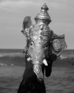 The Ganesha's Head Story