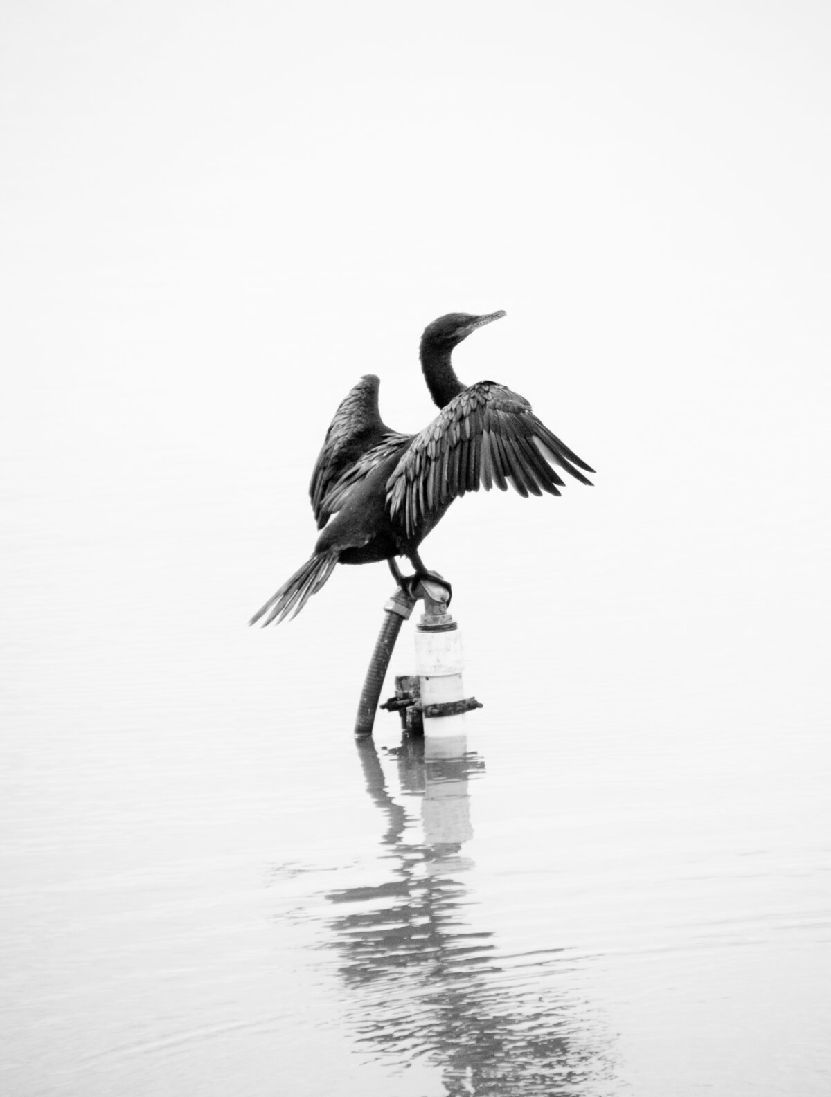 The Moment Before Take Off