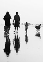 Trivial Beach Walking