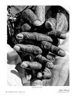 experienced portrait photography