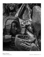 still life photography