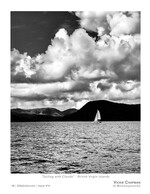sailing with clouds wildlife photography