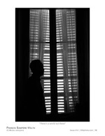 there's a world out there silhouette photography