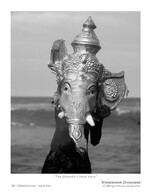 the ganesha's head story portrait photography