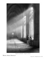 segovia cathedral architecture photography