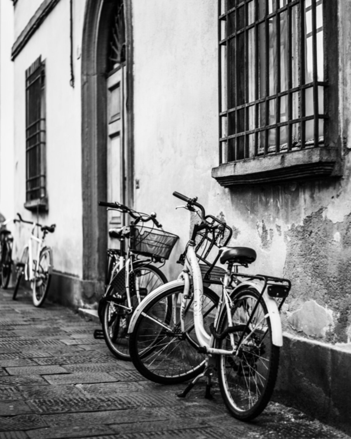 Bicycles of Lucca