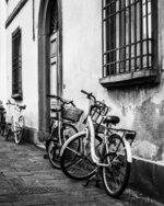 Bicycles of Lucca