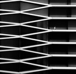 Figure in the Zigzag