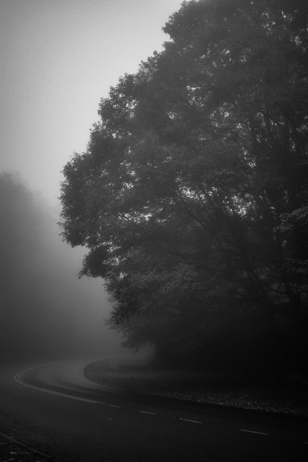 Chris Eichman