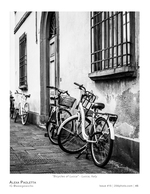 bicycles of lucca