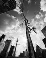 CIBC Courtyard