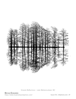 simple reflections