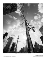 cibc courtyard