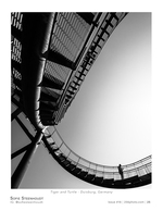 tiger and turtle