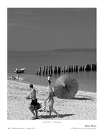 summer