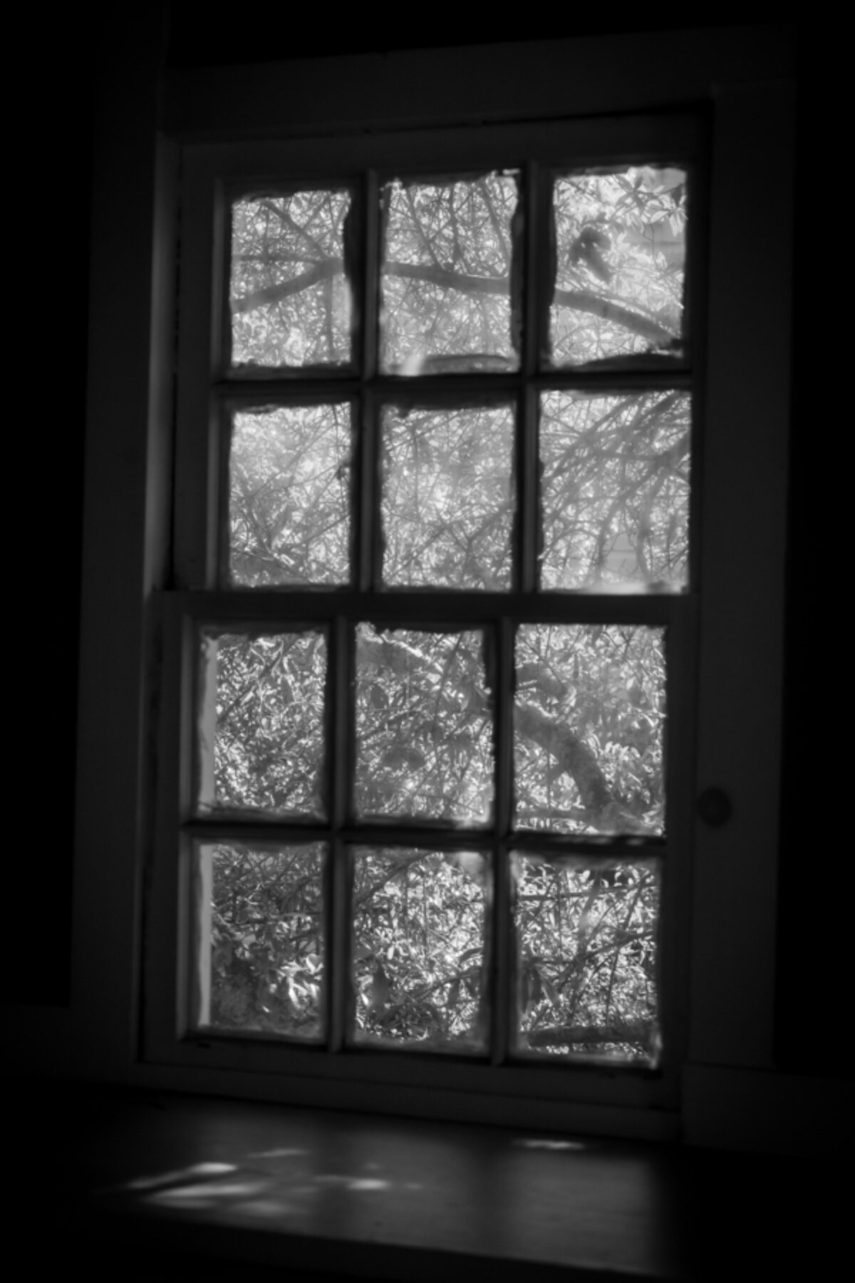 Window Through Time