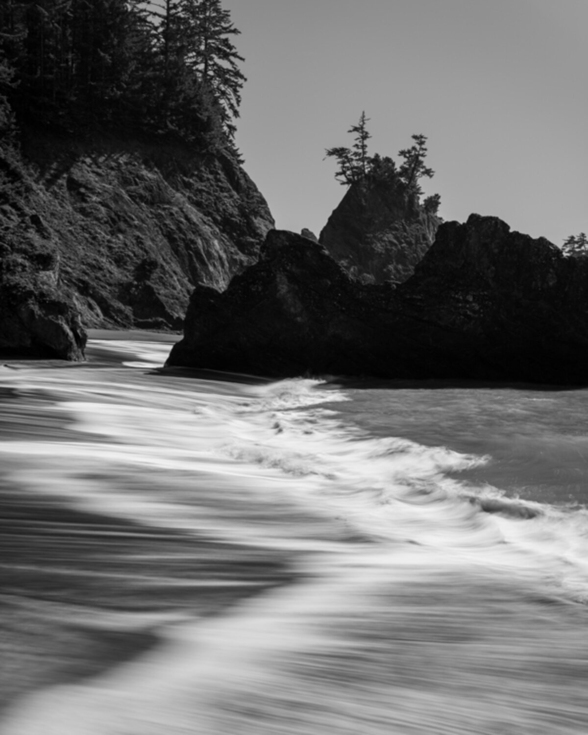 Steve Webler